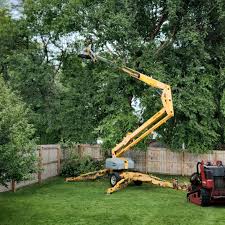 Best Lawn Drainage Solutions  in Murfreesboro, TN