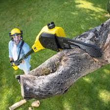 Best Lawn Mowing  in Murfreesboro, TN